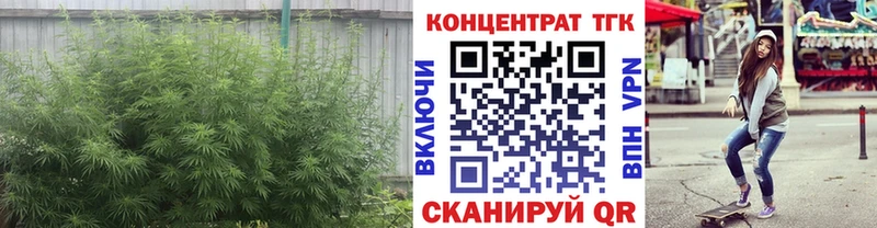 Купить  Ачхой-Мартан  ТГК жижа 