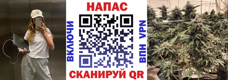 Каннабис тримм Купить закладки Ачхой-Мартан